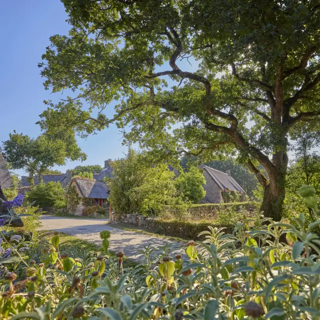 Saint-Lyphard - Kerhinet