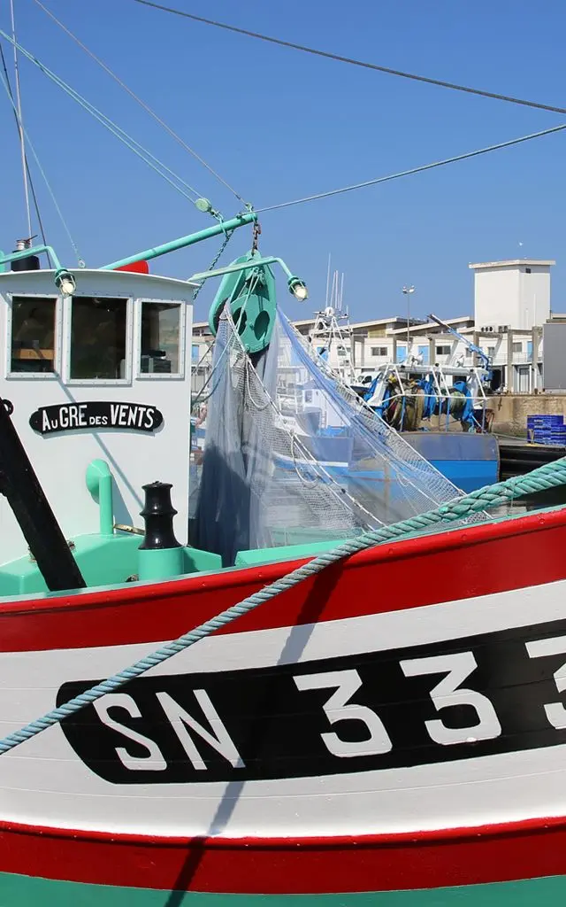 Focus Sardinier Au Gré des vents La Turballe