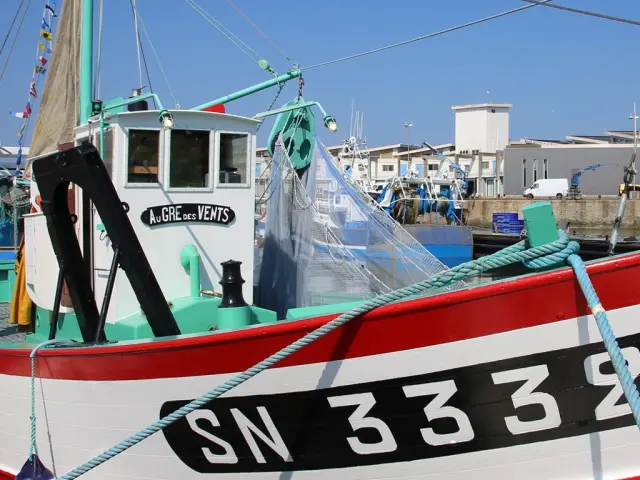 Focus Sardinier Au Gré des vents La Turballe