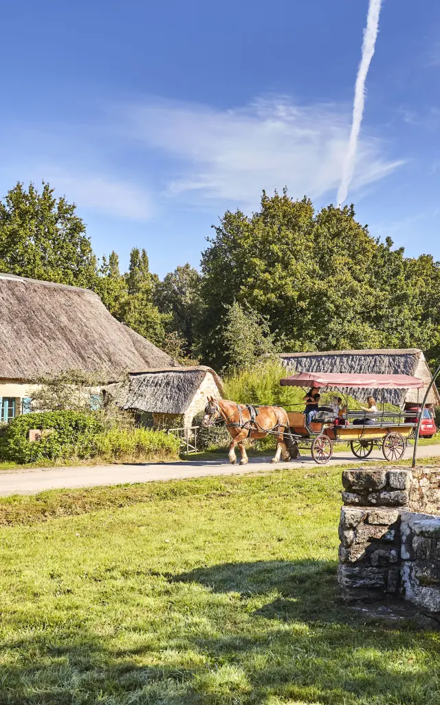 Saint-Lyphard - Brière - Balade en calèche