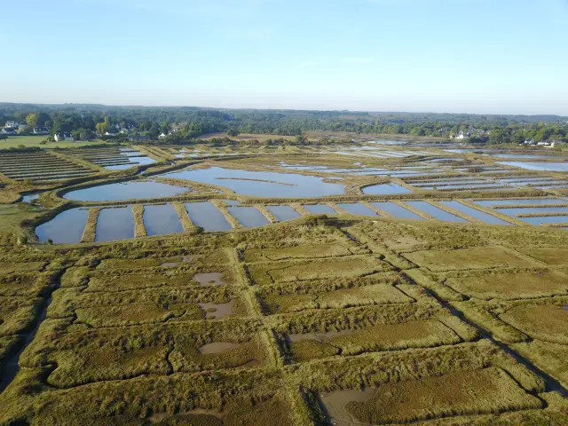 Vue aérienne Marais du Rostu