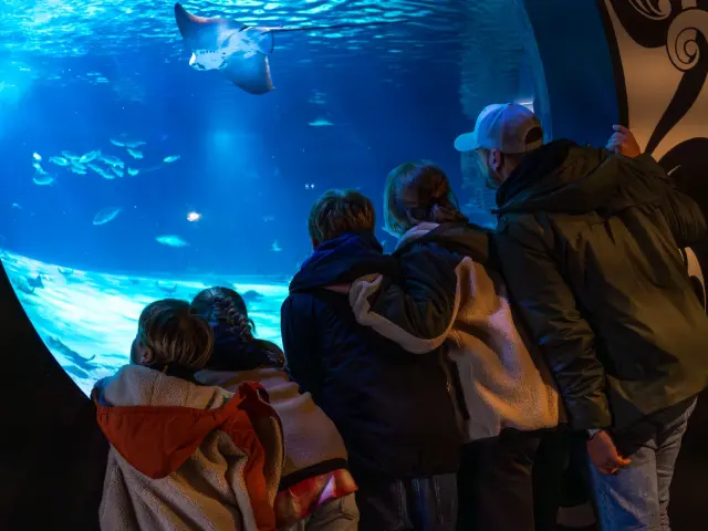 Famille à l'ocearium Du Croisic