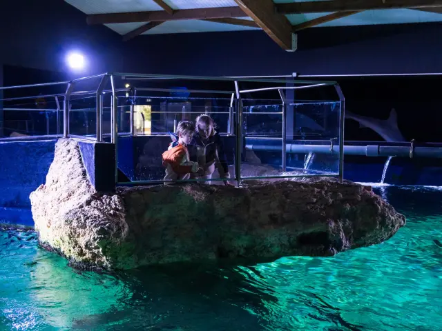 Enfants à l'océarium du Croisic