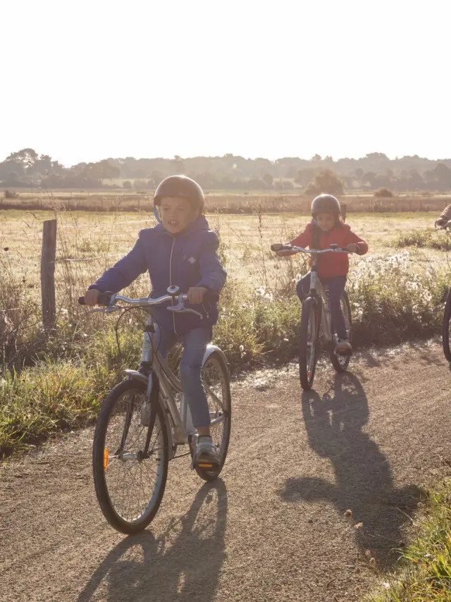 Famille à vélo sur un itinéraire cyclable