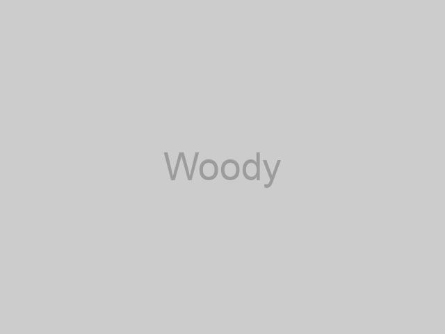 Woody Image65c4a68b63b01