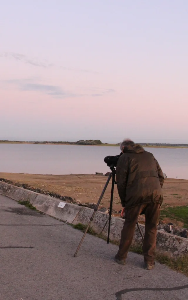 Observation grues matin