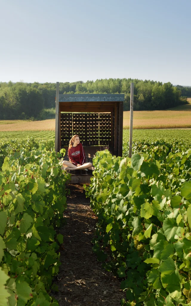 Loge Vignes 3 Vmontane Coll Ot Lac Du Der