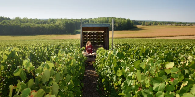 Loge Vignes 3 Vmontane Coll Ot Lac Du Der