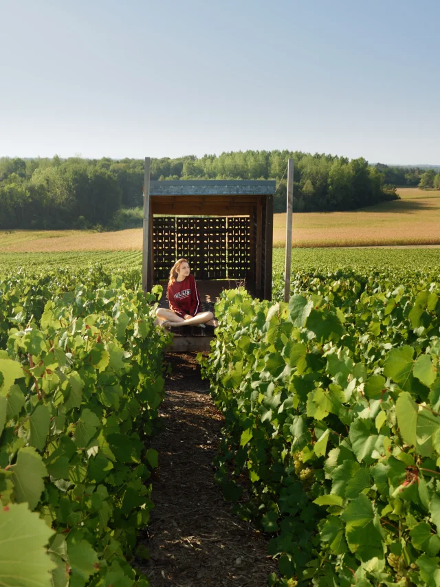 Loge Vignes 3 Vmontane Coll Ot Lac Du Der
