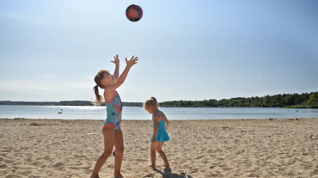 Plage du Lac du Der