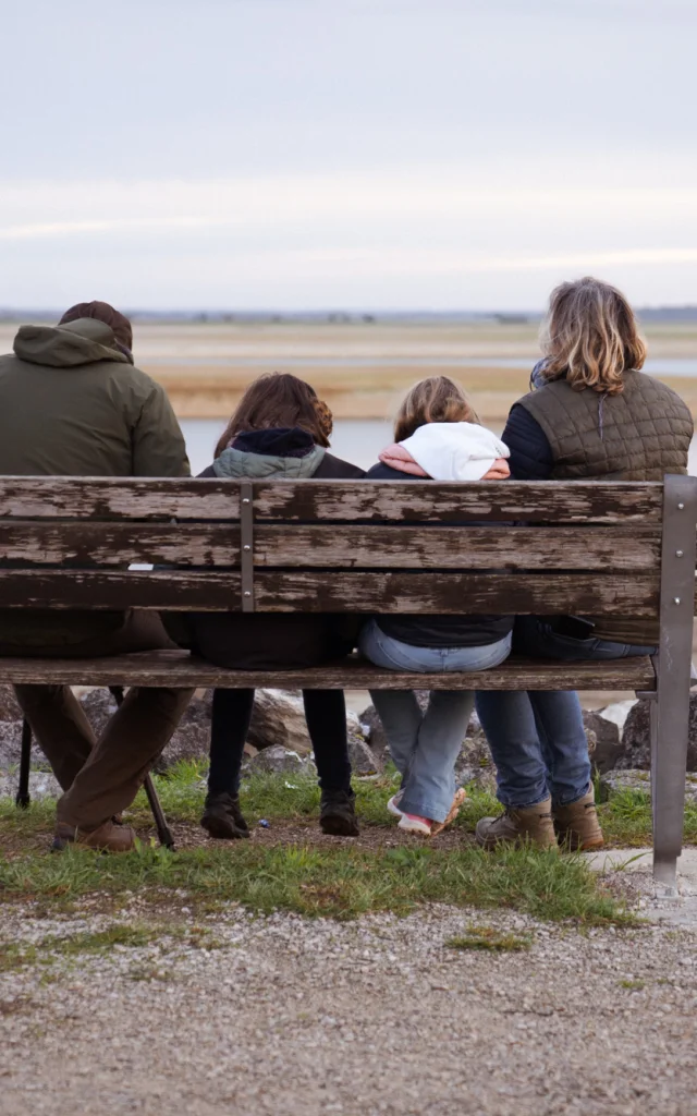 Un banc pour observer les oiseaux