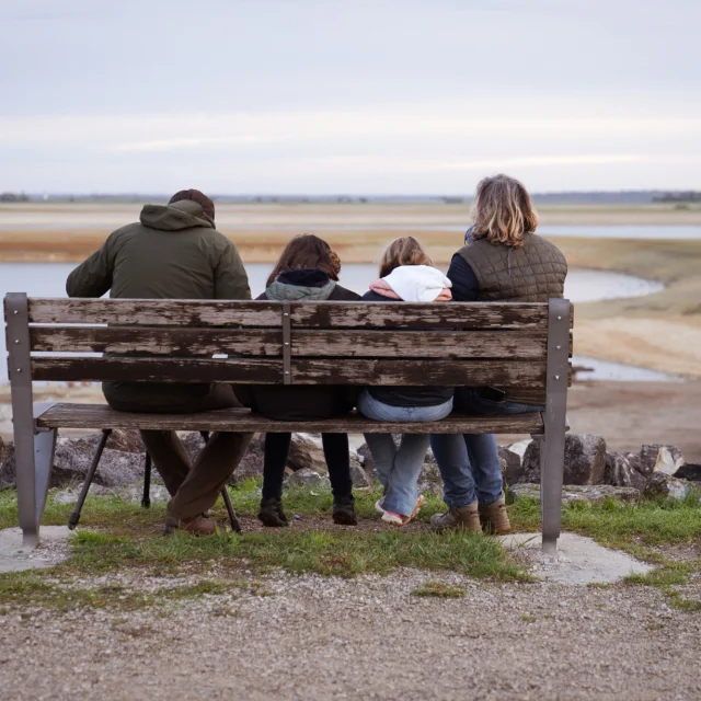 Un banc pour observer les oiseaux