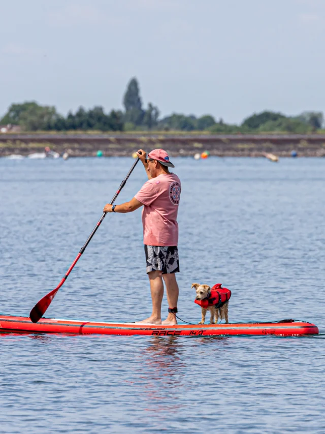 Paddle on the lake with your dog