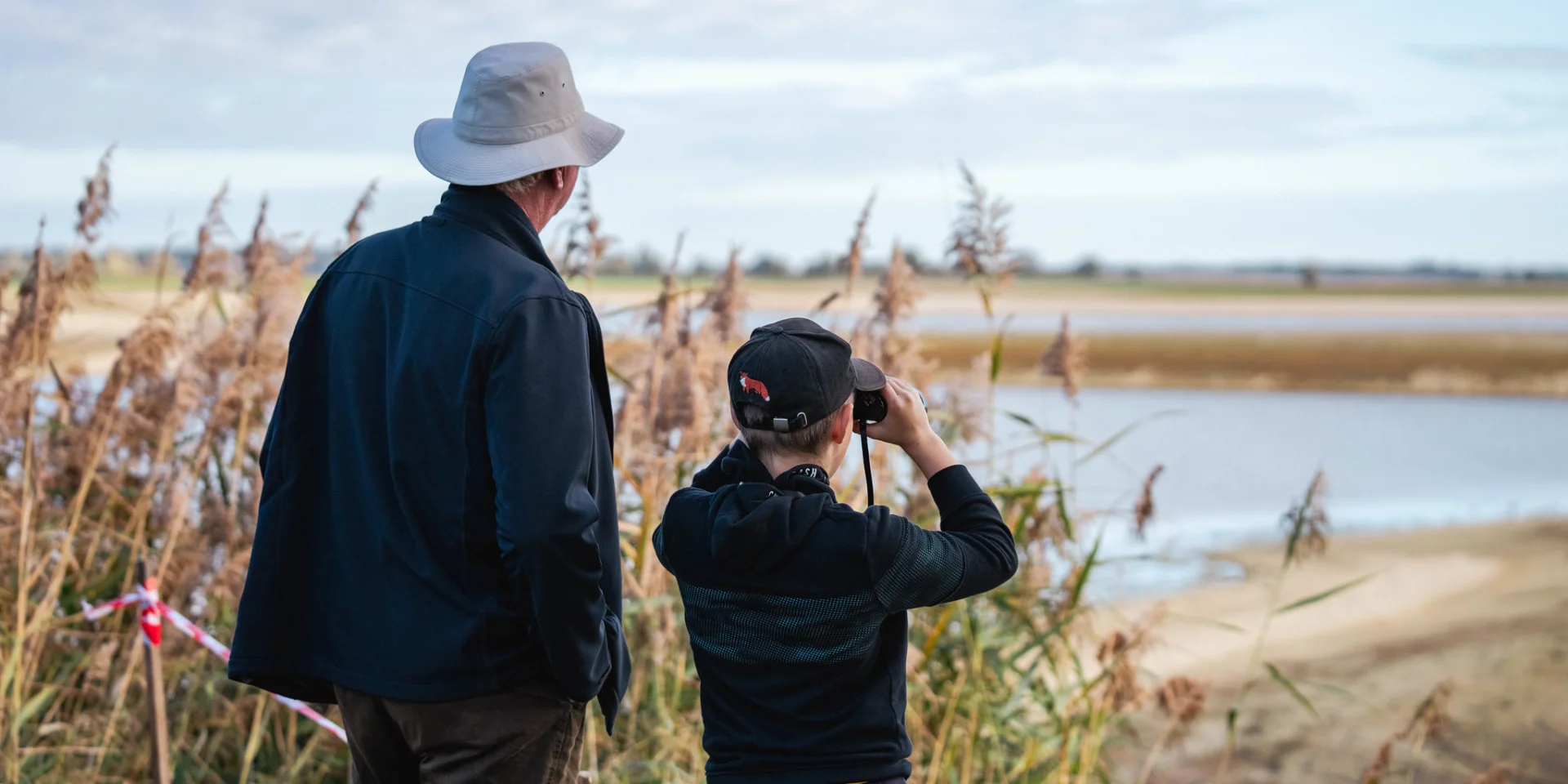 Observación de aves