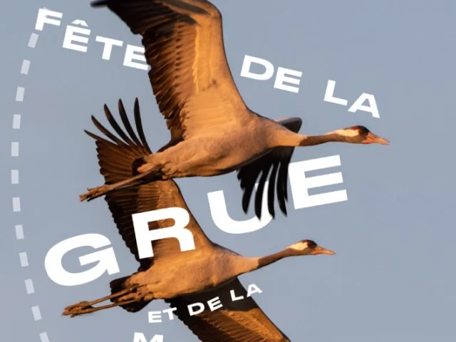 Affiche Fête de la Grue 2024