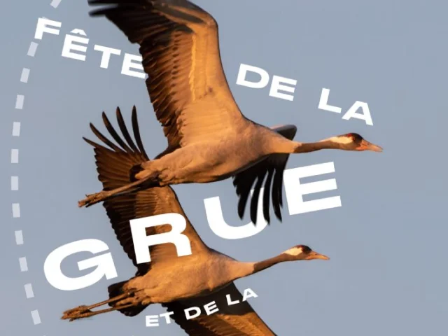 Affiche Fête de la Grue 2024
