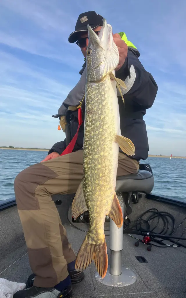 Brochet - Lac du Der