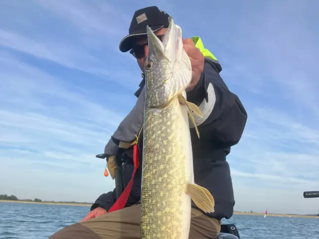 Brochet - Lac du Der