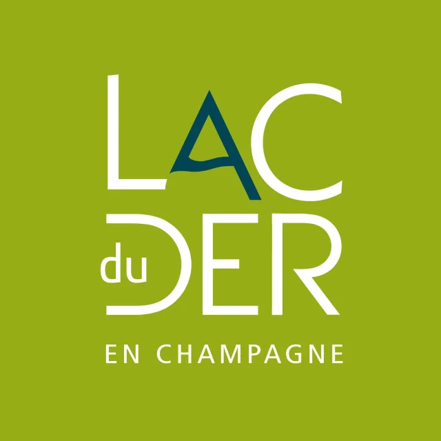 439254713 825729562930149 7085190640430745751 N