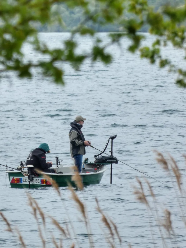 Fishing Lac du Der