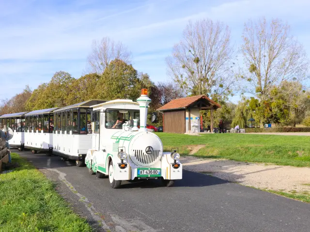 Trains aux oiseaux - Fête de la Grue - Lac du Der