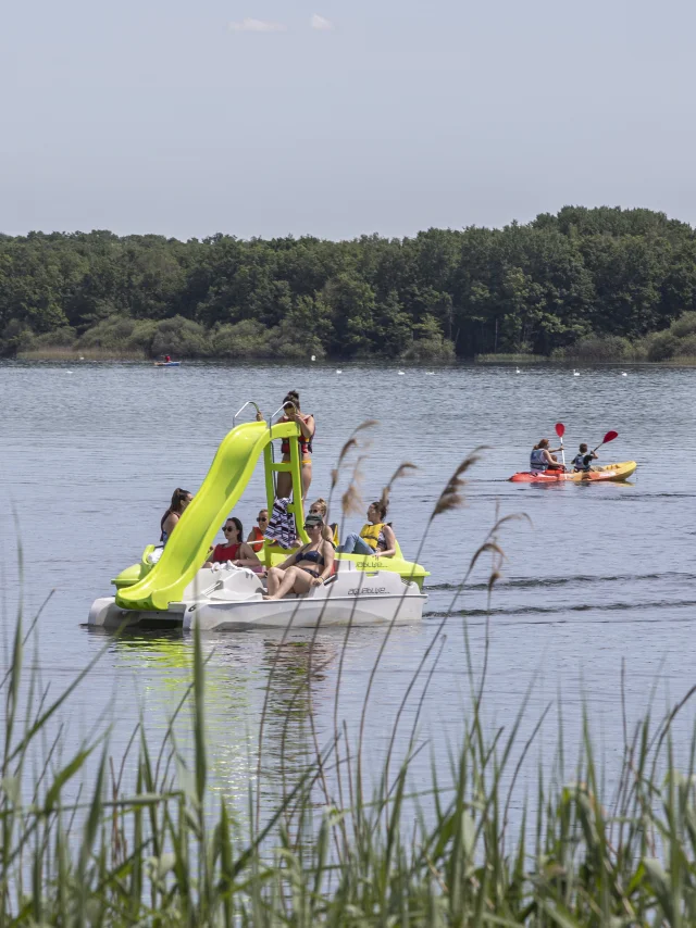 Pedalos et Canoes au Lac du Der