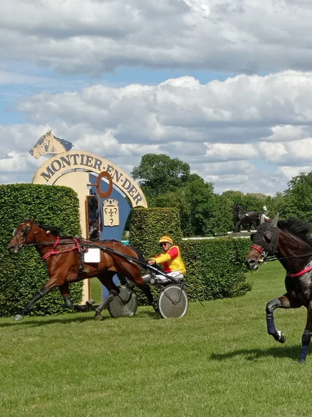 Hippodrome de Montier-en-Der