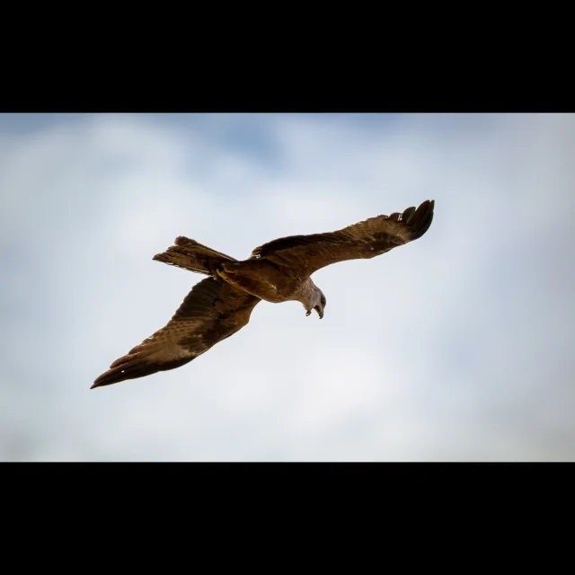 Instagram #lacduder