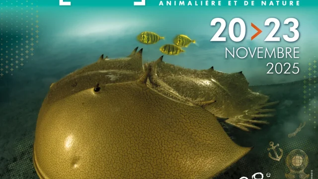 Affiche Festival Montier 2025