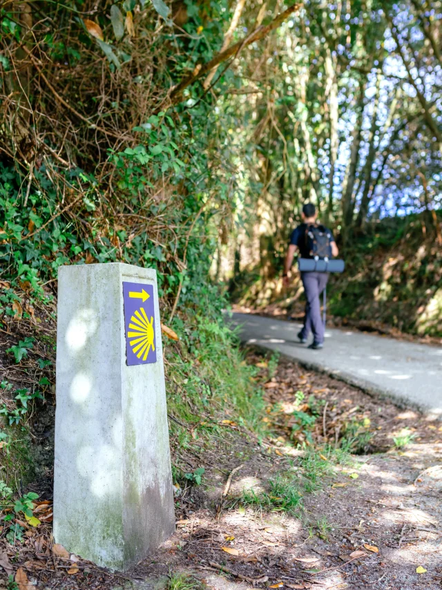 Pèlerin marchant sur un sentier de Saint-Jacques-de-Compostelle