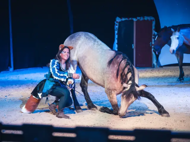 Théâtre Équestre de Champagne représentation avec un cheval et sa cavalière