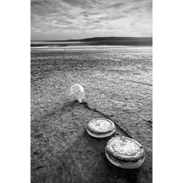 Instagram #lacduder