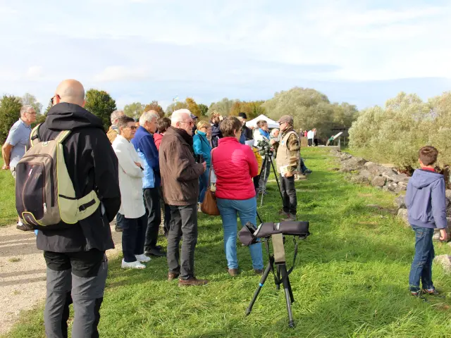 Animation train aux oiseaux - bénévole LPO