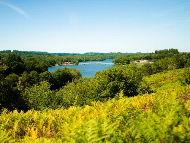 Randonnez Vous 2023 Lac De Saint Pardoux