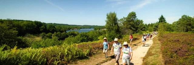 Randonnez Vous 2023 Lac De Saint Pardoux