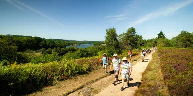 Randonnez Vous 2023 Lac De Saint Pardoux