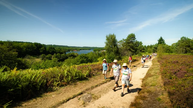Randonnez Vous 2023 Lac De Saint Pardoux