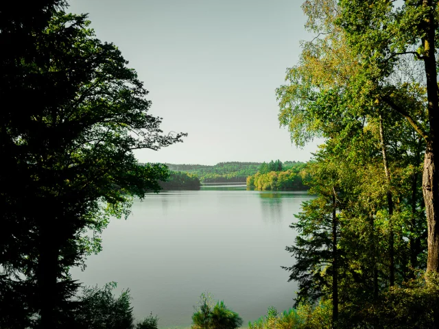 Belvedere Lac De Saint Pardoux