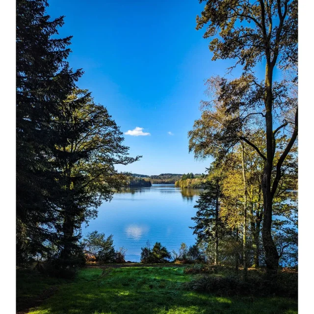 Instagram #hautevienne