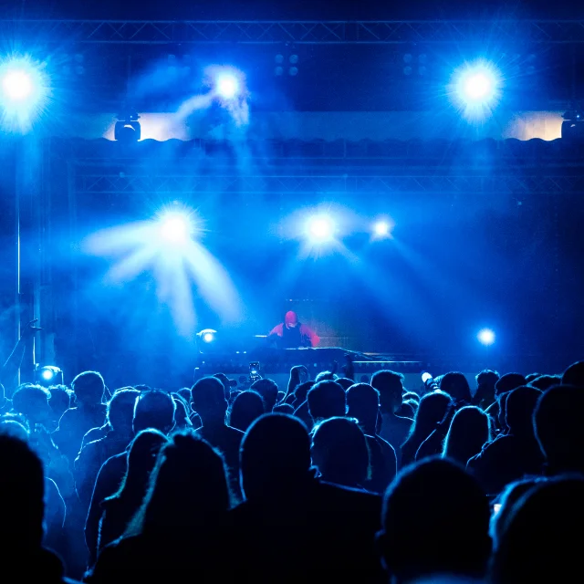 Alexis Arnaud Electro Beach Party 15