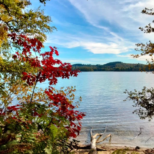 Instagram #hautevienne