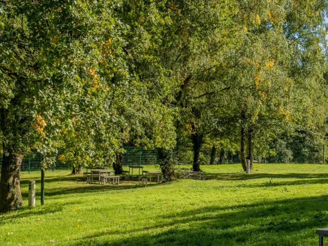 Site De Chabannes Lac De Saint Pardoux Camping Jeunes