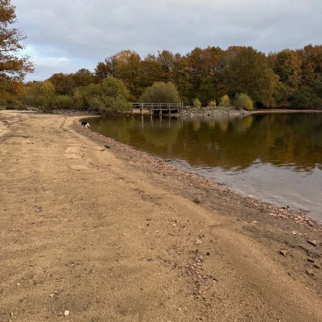 Instagram #hautevienne