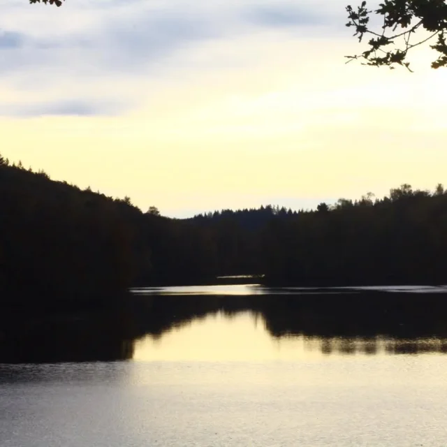 Instagram #hautevienne