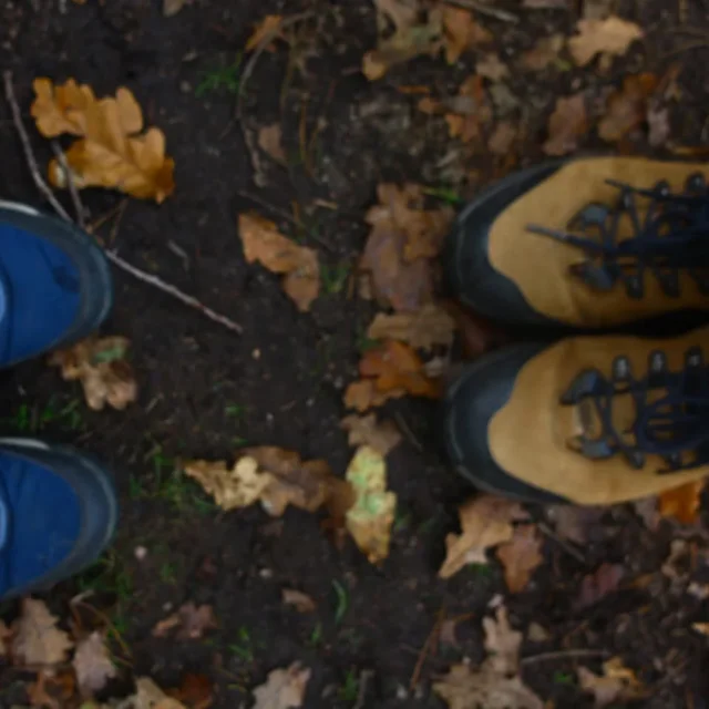 Instagram #hautevienne