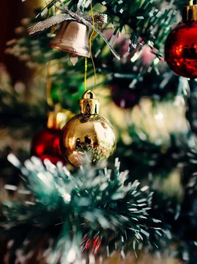 Noel La Piscine Lac De Saint Pardoux
