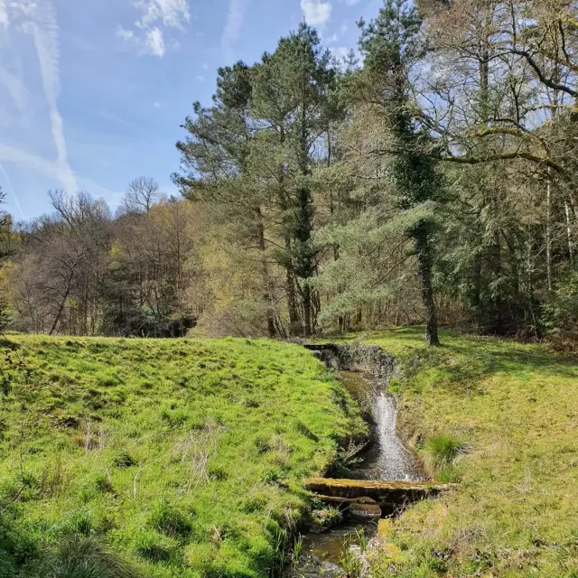 Instagram #lacdesaintpardoux