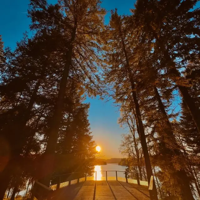 Instagram #hautevienne