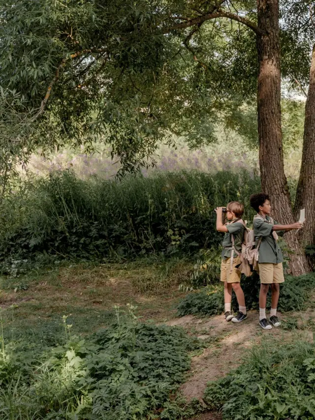 Explorer Game En Hante Vienne