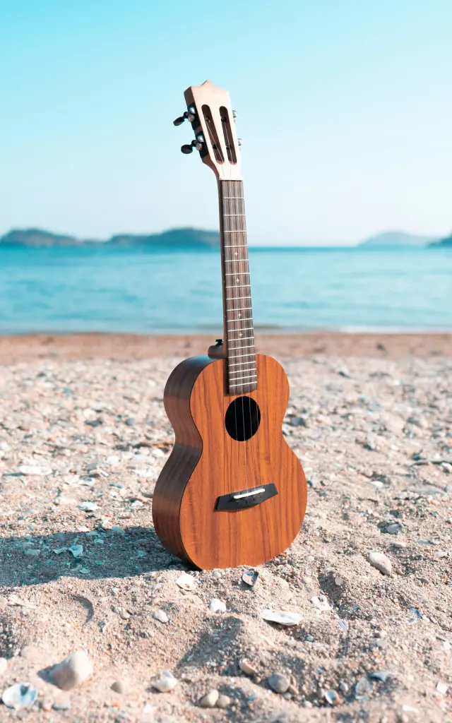 Acoustic é nous